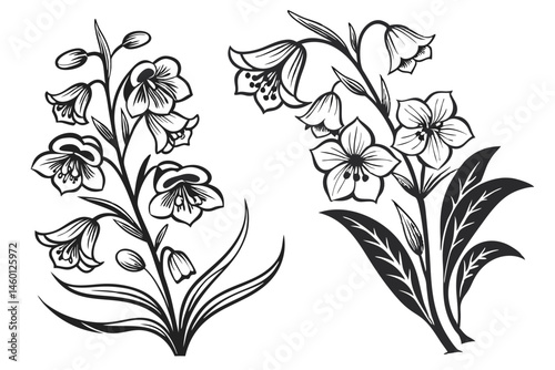 86 Vintage floral illustrations, black and white flower bouquets, detailed botanical drawings, Victorian style flower arrangements, monochrome engraved florals, hand-drawn botanical art, symmetrical f