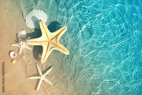 Fototapeta Naklejka Na Ścianę i Meble -  Starfish and seashells on the summer beach in sea water. Summer blue ocean background. Summer time