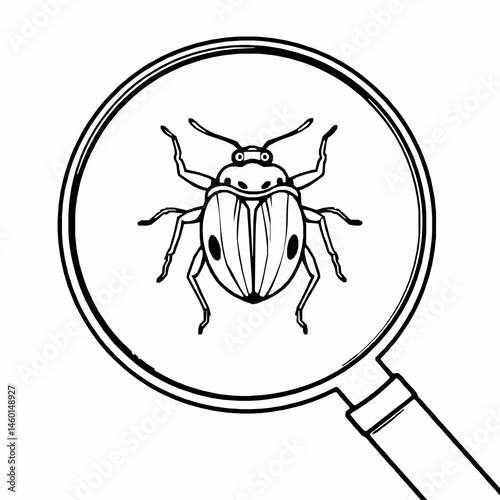 Bug under magnifying glass outline vector illustration for software testing or debugging process detailed examination of insect concept