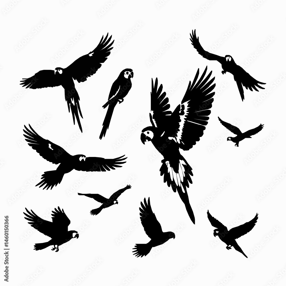 Obraz premium Macaw parrot silhouette collection exotic bird illustrations
