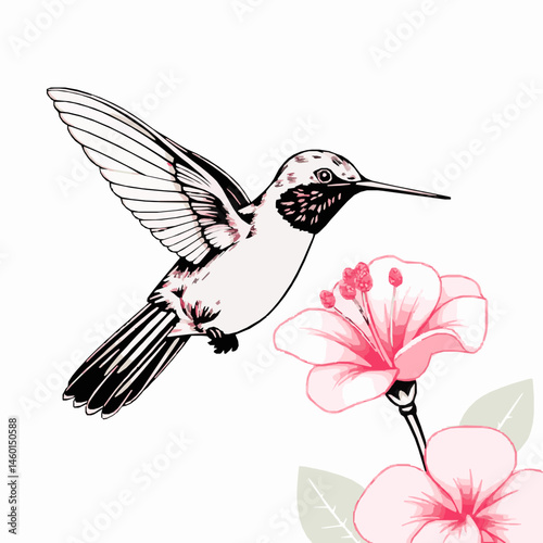 Hummingbird with pink flowers vector illustration nature design