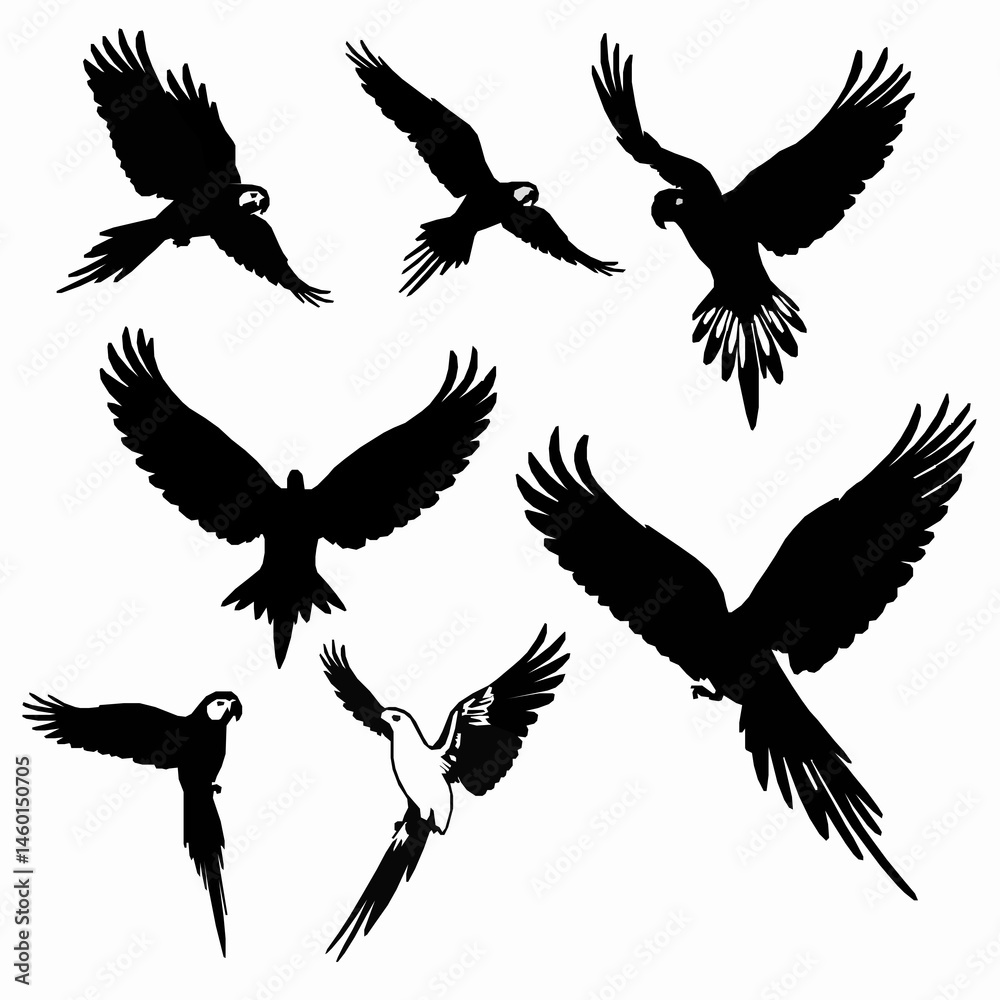 Fototapeta premium Collection of macaw parrot silhouettes in various flight poses exotic bird icons black and white vector illustration