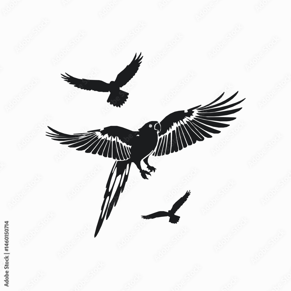 Fototapeta premium Birds in flight silhouette illustration graphic resource with parrot and hawks elegant design element simple bird pattern