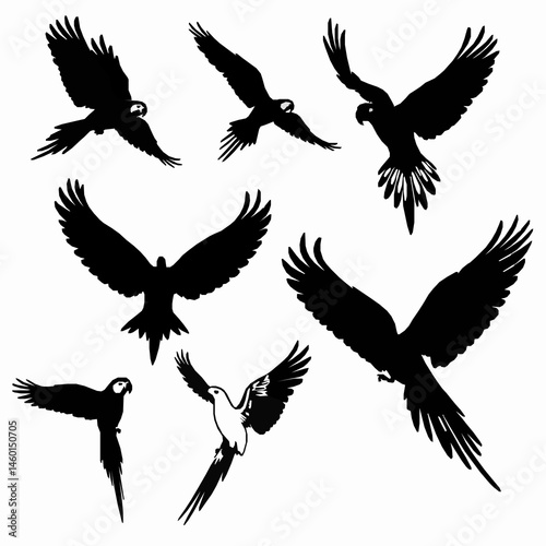 Collection of macaw parrot silhouettes in various flight poses exotic bird icons black and white vector illustration photo