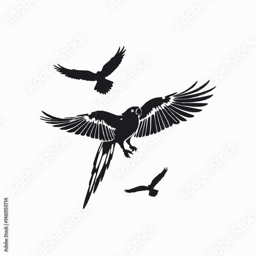 Birds in flight silhouette illustration graphic resource with parrot and hawks elegant design element simple bird pattern