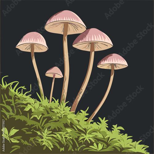 Cluster of Pink Mushrooms Growing on Mossy Ground Dark Background Illustration