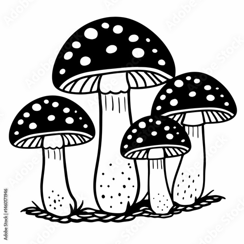 Black and White Illustration of Three Fly Agaric Mushrooms