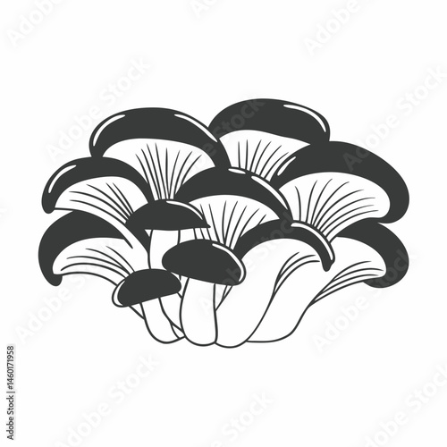 Hand Drawn Illustration of Oyster Mushrooms Clustered Together