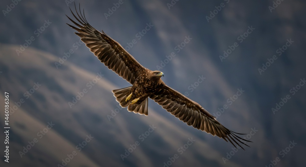 Fototapeta premium Golden eagle in flight against a mountain backdrop