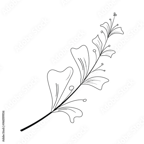 Graphic branch of a plant on a background.  A twig of a plant. A doodle plant.  An abstract element. Template for the design
