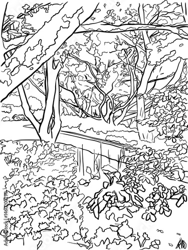 Tree Cover Sketch