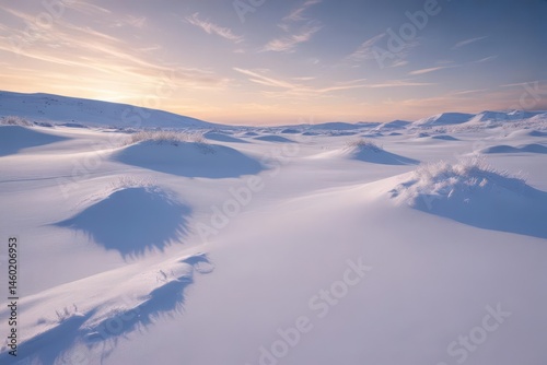 A pristine, powdery snowdrift on a vast, frozen winter landscape , untouched, fresh, wintery