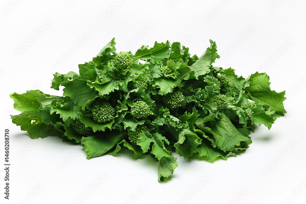 Fototapeta premium Fresh Broccoli Rabe on white background