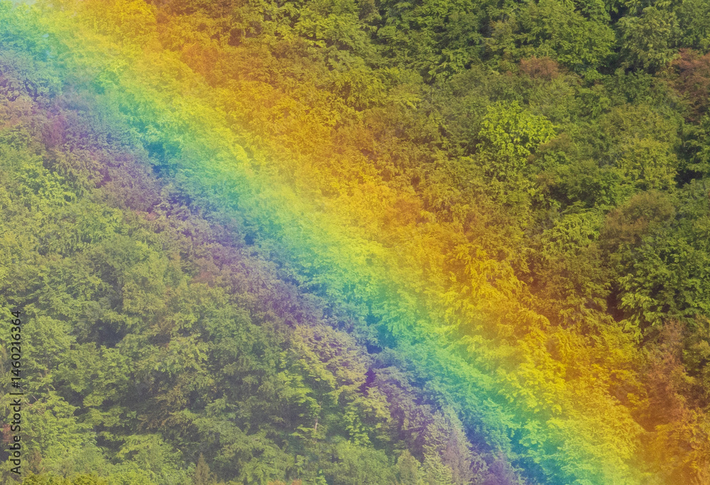 A rainbow over a green deciduous forest