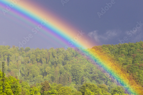 A beautiful rainbow in the foreground and a green forest in the background. A rainbow over a deciduous forest