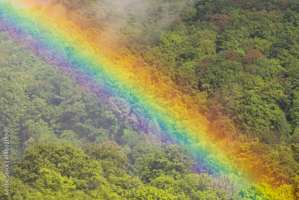 Landscape with a rainbow over a green forest