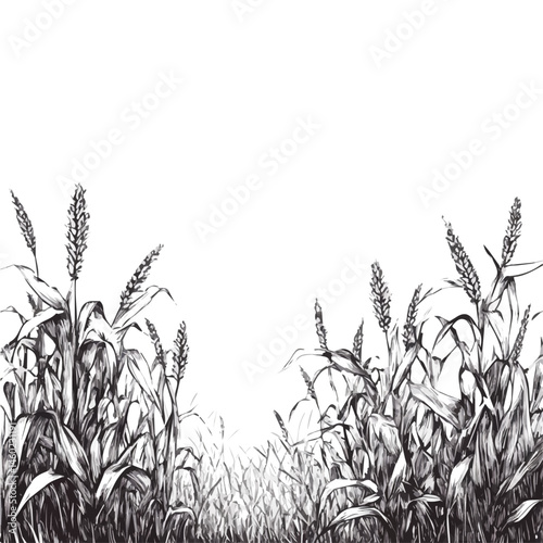 2D flat vector illustration of Cornfield, isolated on a white background.