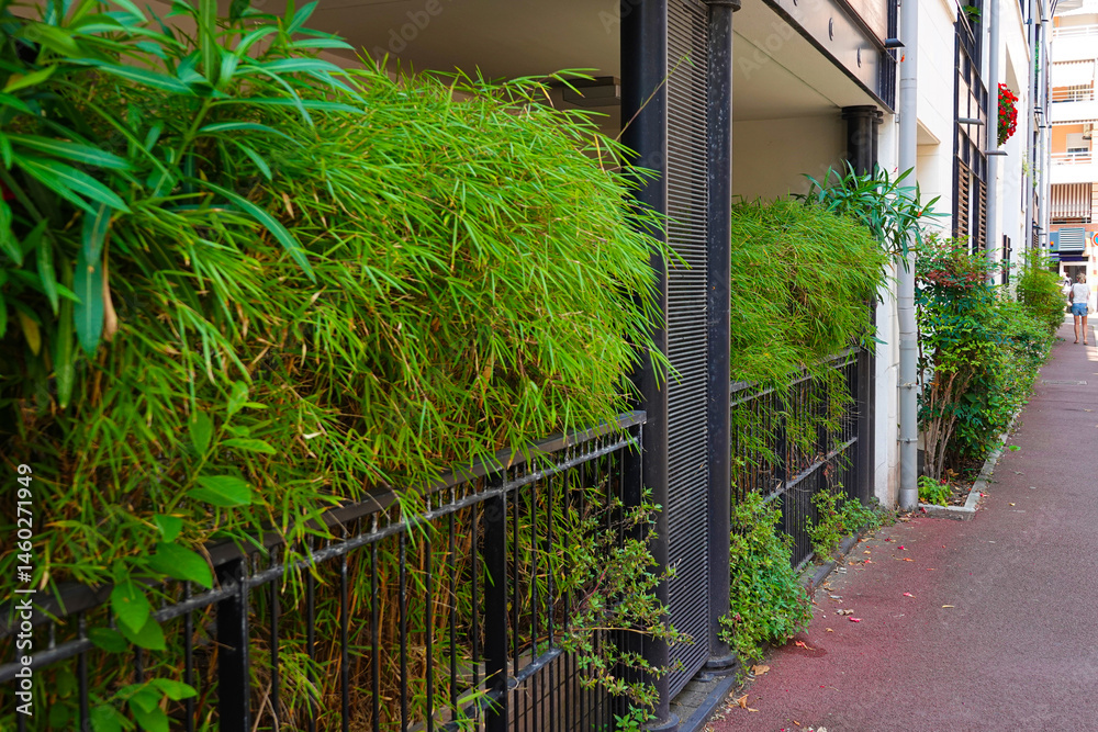 landscaping of the facade of the lower floor of the building