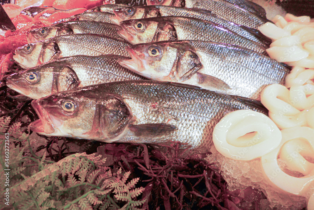 fresh fish on the market counter