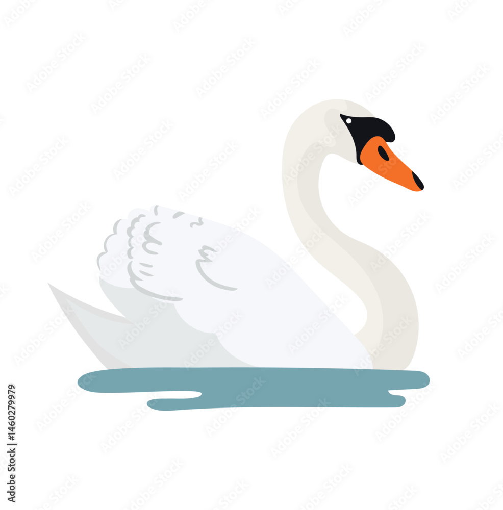 Fototapeta premium Swans, water birds. Flat vector, clipart illustration isolated on white background.