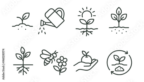 Line style icons of plant and grow cycle: seed in soil symbol, watering can icon, sprout with sun, small tree stage, roots under earth, pollination bee, fruit harvest sign, compost and plant loop.