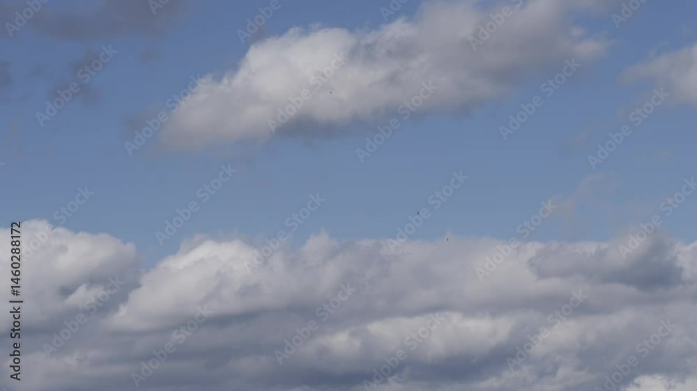 The Sky’s Breath: Cumulus Clouds Bubbling Like Foam in the Distance, Magnified in Detail timelapse
The Sky’s Breath: Cumulus Clouds Bubbling Like Foam in the Distance, Magnified in Detail timelapse