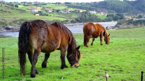 A close-up view of a brown horse grazing peacefully on a green meadow with a scenic backdrop of hills, trees, and a rural village