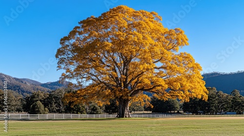 Majestic autumnal tree in a sunny pasture landscape.