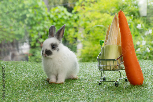 Little infant rabbit bunny sitting beside shopping cart carrot baby corn on green grass nature background. Adorable rabbit white gray bunny playful with shopping cart on meadow green. Easter pet