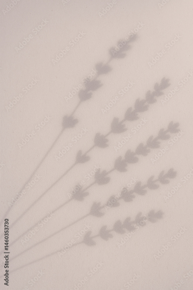 Lavender shadow silhouettes on warm surface with minimal botanical style