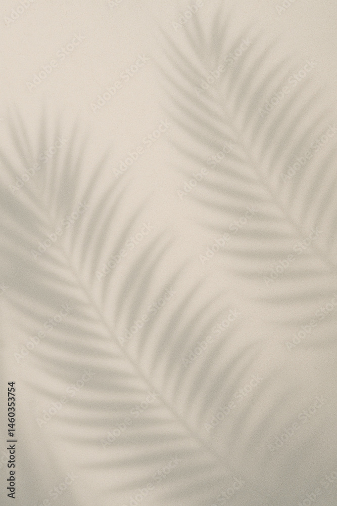 Palm leaf shadows on bright wall with soft tropical minimalism