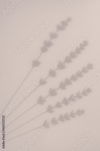 Obraz na płótnie Lavender shadow silhouettes on warm surface with minimal botanical style w salonie