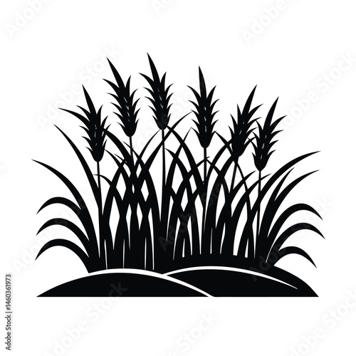  Rice plant picture vector art illustration