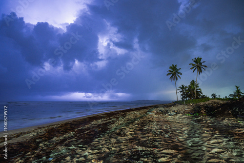 Fototapeta Naklejka Na Ścianę i Meble -  view from the beach with palm tree facing the ocean with heavy clouds and light from a lightning bolt