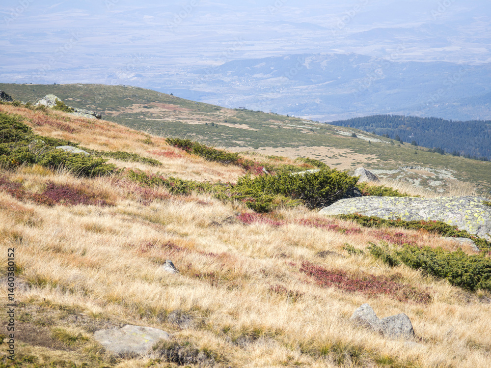 Fototapeta premium Vitosha Mountain near Cherni Vrah peak, Bulgaria