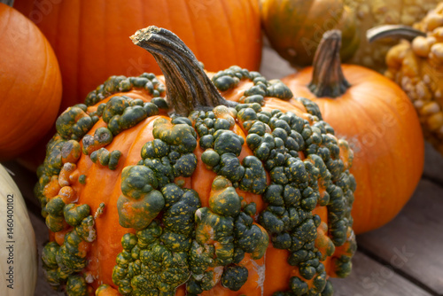 A view of a warty pumpkin, among other pumpkins in a pile.