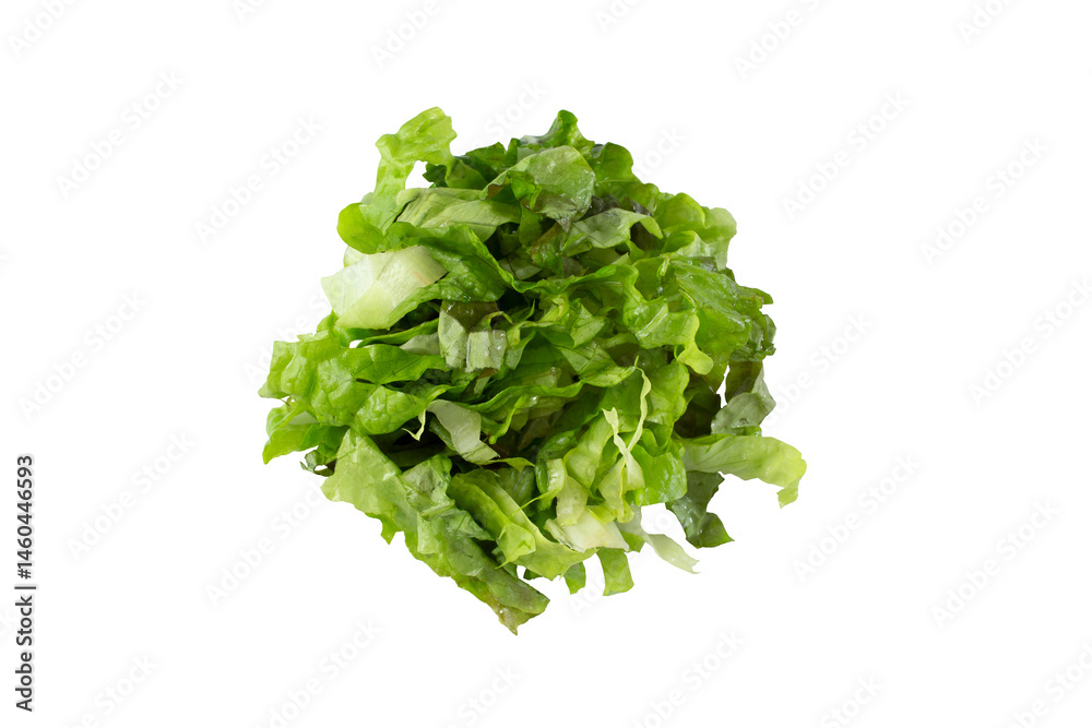 A top down view of a pile of chopped romaine lettuce, against a white background. A top down view of a pile of chopped romaine lettuce, against a white background.