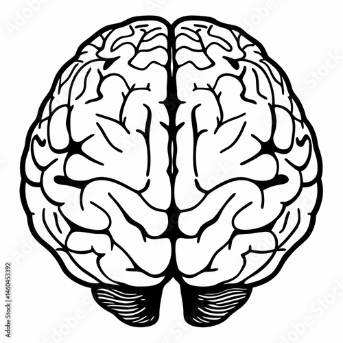 human brain vector illustration