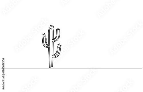 Abstract cactus background on white background