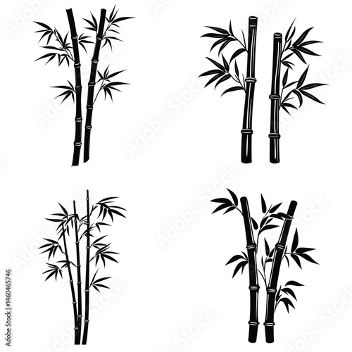 Four Bamboo Stalks with Leaves on White Background, Nature Silhouette