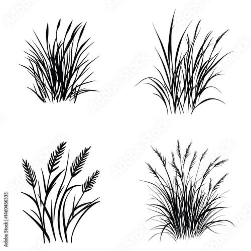 Four Black Grass Tufts Collection with White Background Silhouette Style