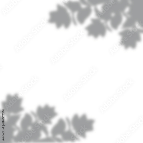 a leaf shadow background