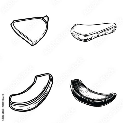 Garlic Cloves Collection Vector Set, Isolated on Transparent Background, Engraved Style