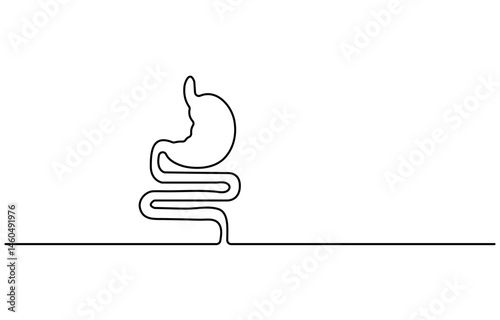 Stomach one continuous line drawing anatomy concept on white background minimalism
