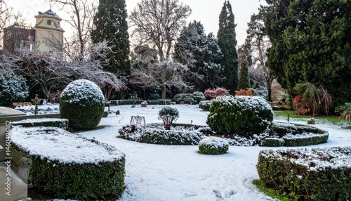 Snowy Winter Garden with Hedge Decor in Cozy Outdoor Landscape