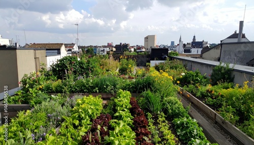 Rooftop Garden Full of Lush Vegetables and Colorful Flowers