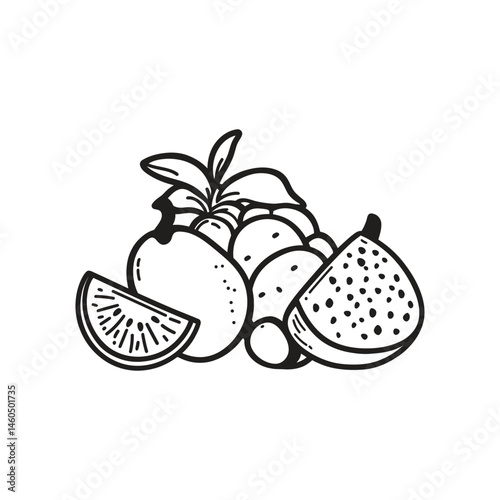 Hand Drawn Exotic Fruits on Transparent Background; Dragon Fruit Slice Kiwi