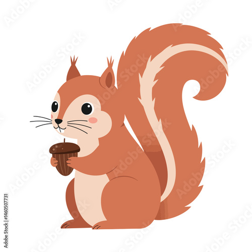 Red squirrel holding an acorn cute animal wildlife nature character illustration vector 