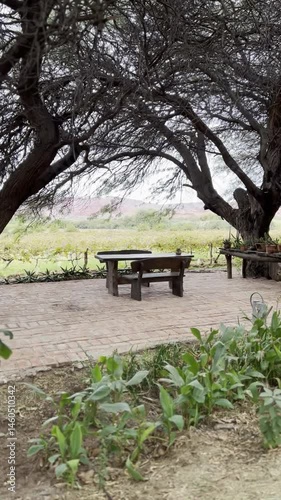 wooden bench in the park near a winery