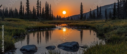 Serene sunset over calm water, reflected in still pond, surrounded by lush greenery and towering evergreens